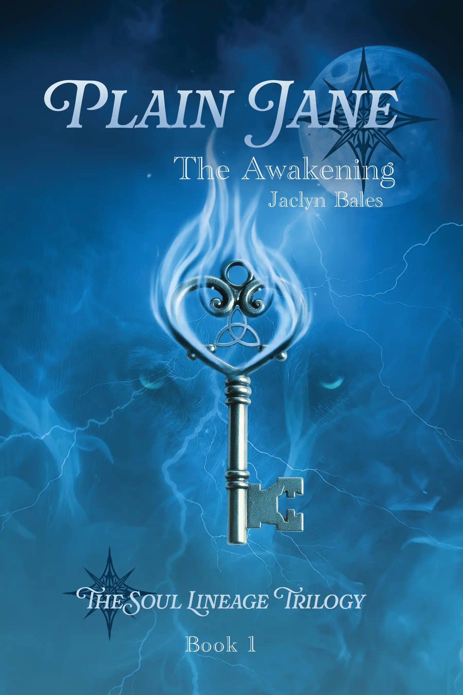 Plain Jane by Jaclyn Bales